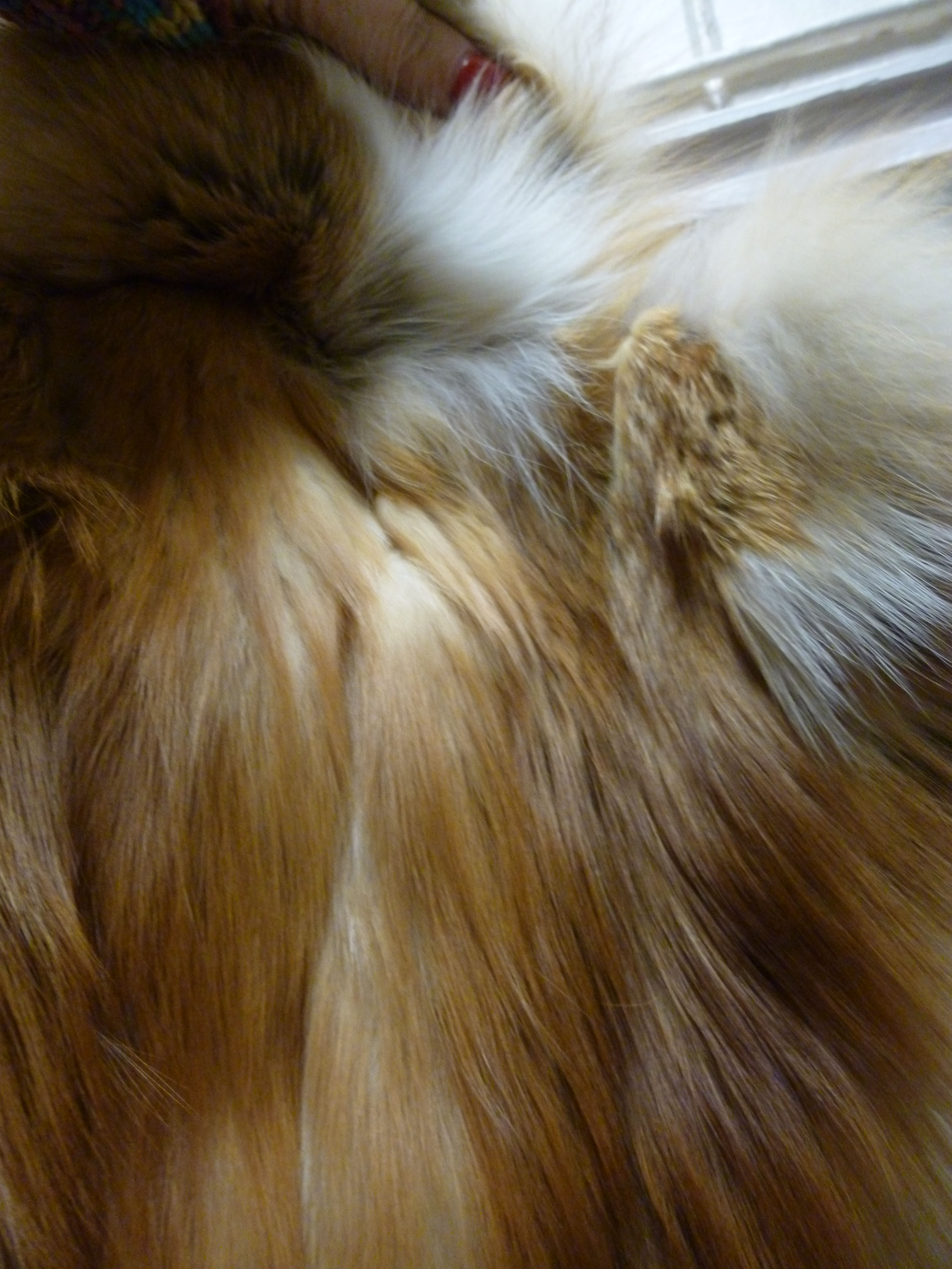 A two tone red fox fur coat with a lapel collar - Image 6 of 10