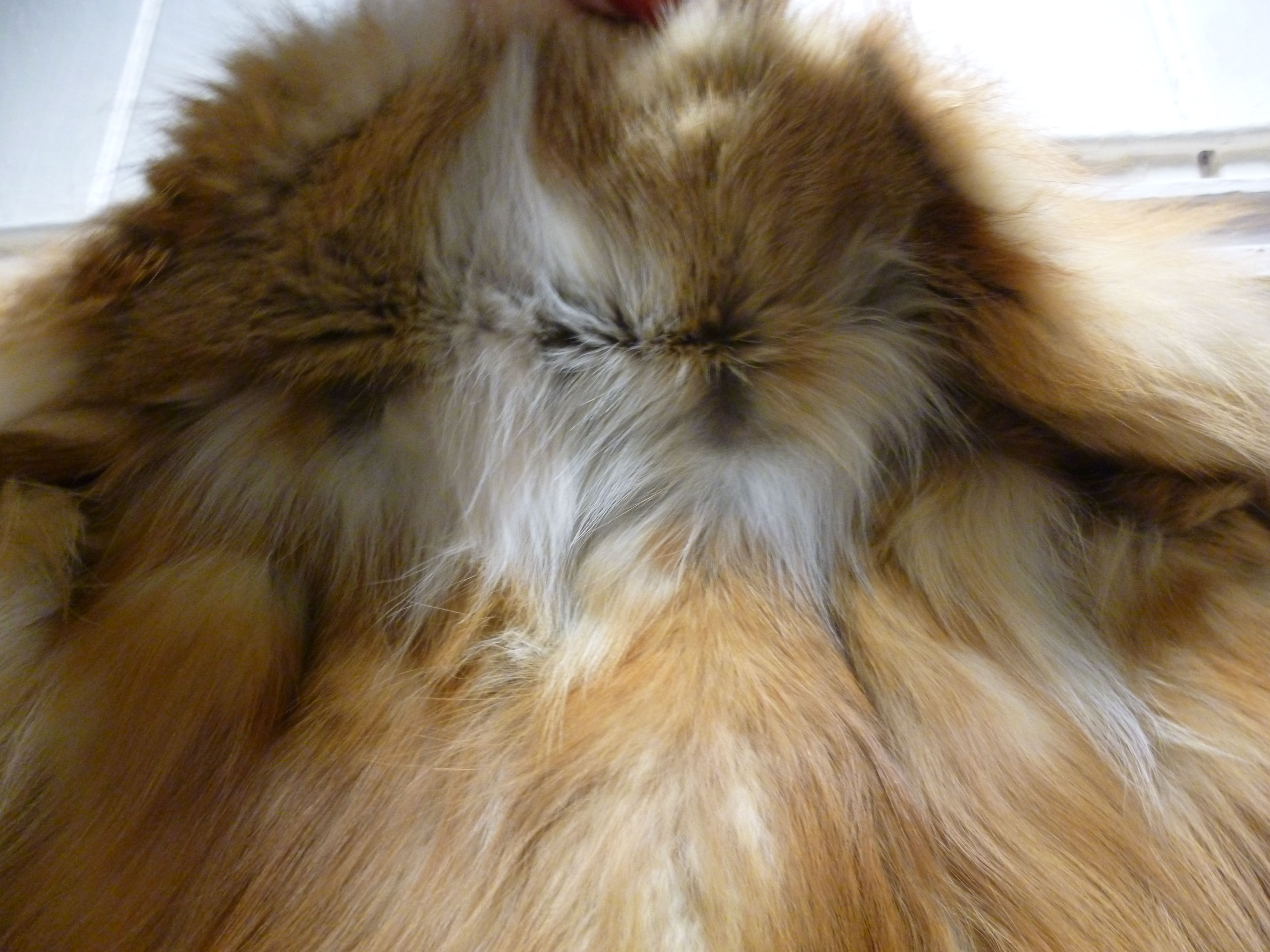 A two tone red fox fur coat with a lapel collar - Image 8 of 10