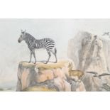 Harris, William Cornwallis XXIV. 1. Equus Montanus - The Modern Zebra, II. Oreotragus Saltatrix. The