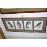 Signed prints - "Hobby", "Sparrow Hawk", "Buzzard" and "Merlin", after James Alder,