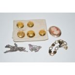 Five military type brass buttons by Jennens; an enamelled silver butterfly brooch;