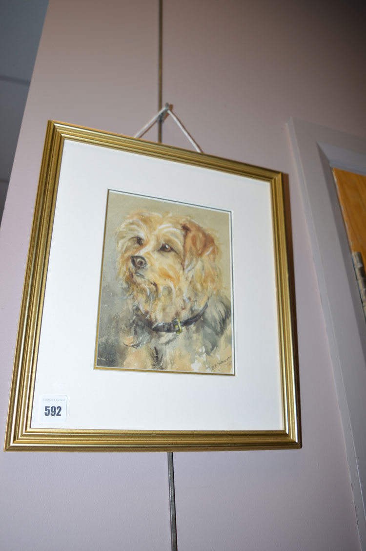 E*** F*** Weaver - A portrait of a terrier, signed, watercolour, 20 x 15cms; 8 x 6in.