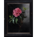 E*** M*** (20th Century Dutch School) A rhododendron flower, signed with initials,