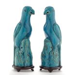 Pair of blue glaze porcelain parrots,