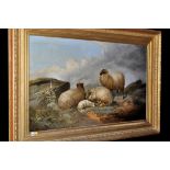 J*** Morris (19th Century) Sheep on a hillside, signed and dated 1880,