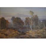 T B W Forster - A woodland pond with herons, watercolour, signed lower left,