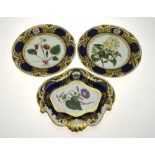 Two Chamberlain's Worcester plates, 26 cm and matching shaped dish each painted with flowers (