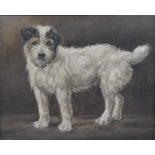 George Earl (1824-1908) - Study of a white terrier, oil on canvas, signed lower left,