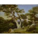 19th century English school - A landscape with trees and boulders, oil on canvas,