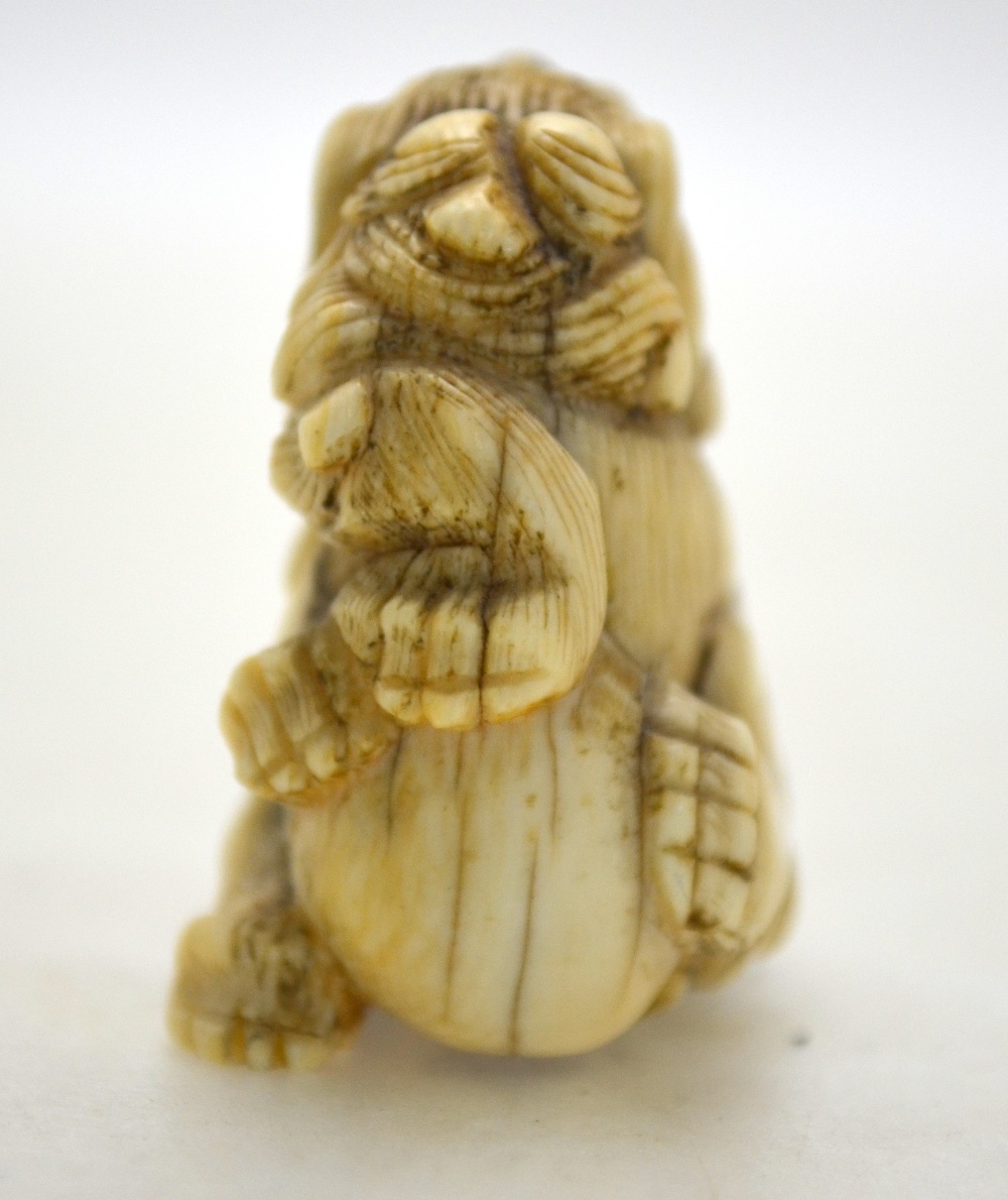 A Japanese ivory netsuke of a Shi Shi, 4 cm h. - Image 8 of 11