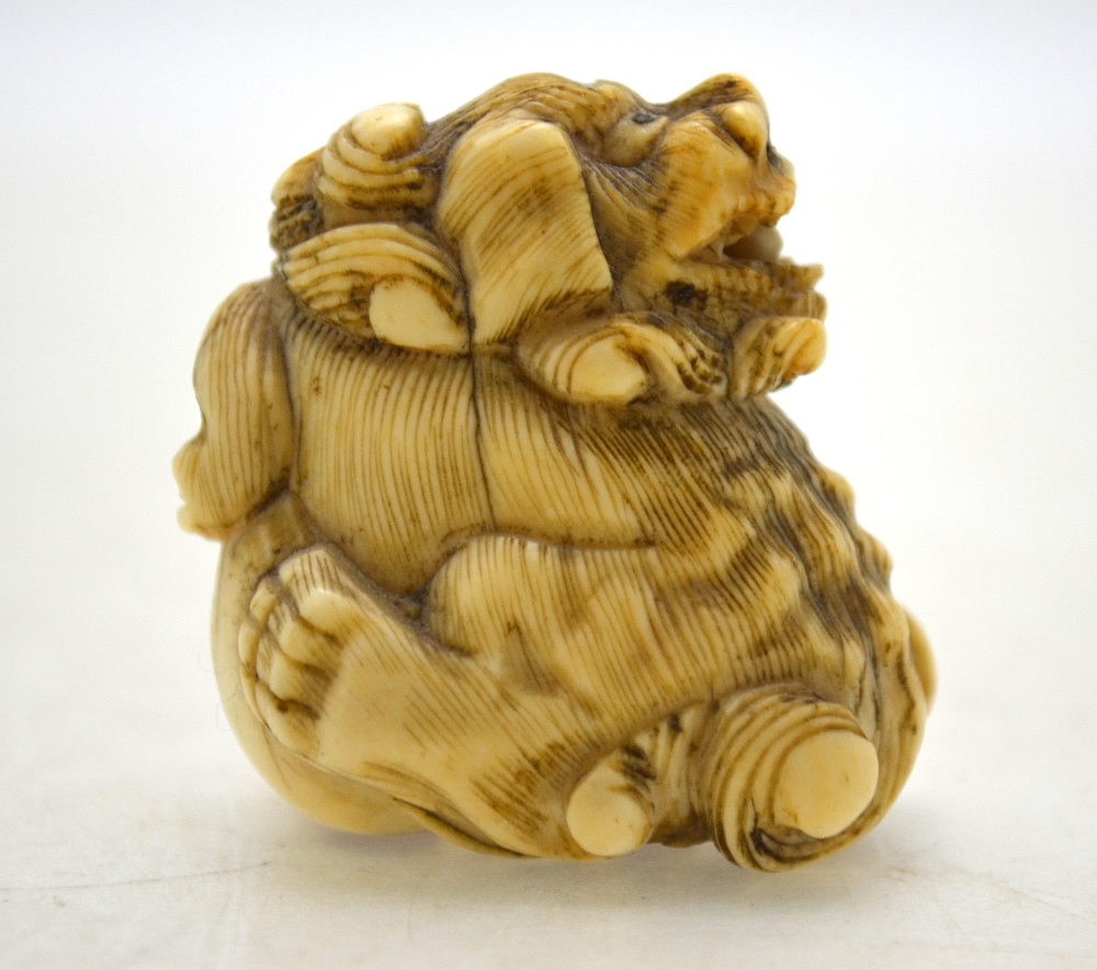 A Japanese ivory netsuke of a Shi Shi, 4 cm h. - Image 5 of 11