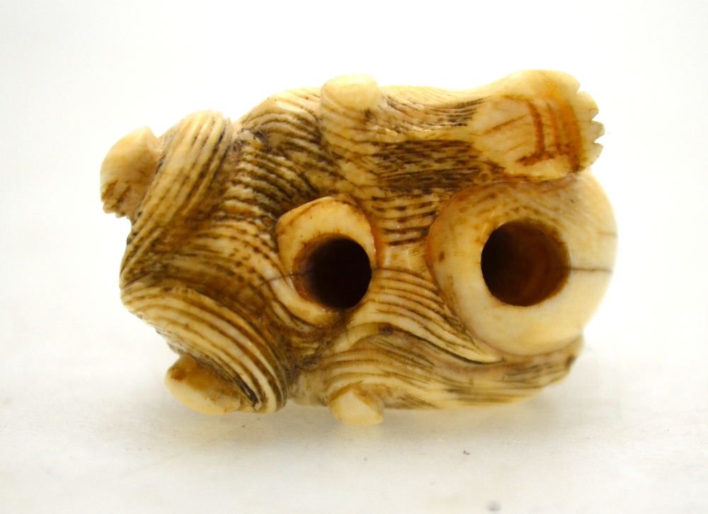 A Japanese ivory netsuke of a Shi Shi, 4 cm h. - Image 7 of 11