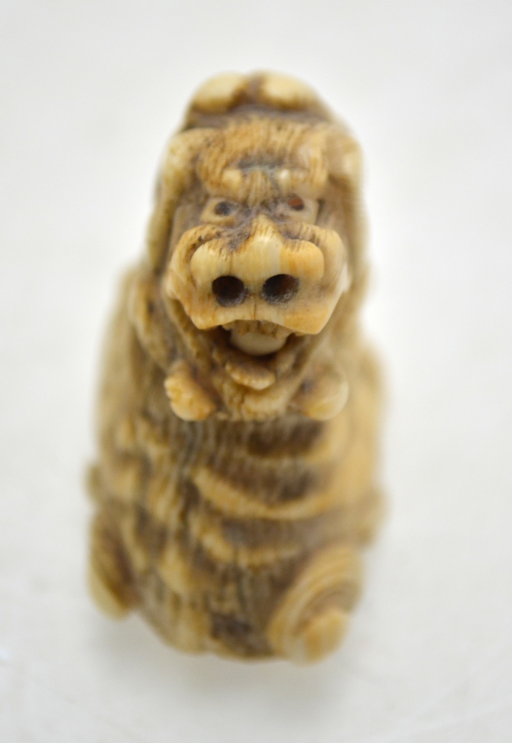 A Japanese ivory netsuke of a Shi Shi, 4 cm h. - Image 4 of 11