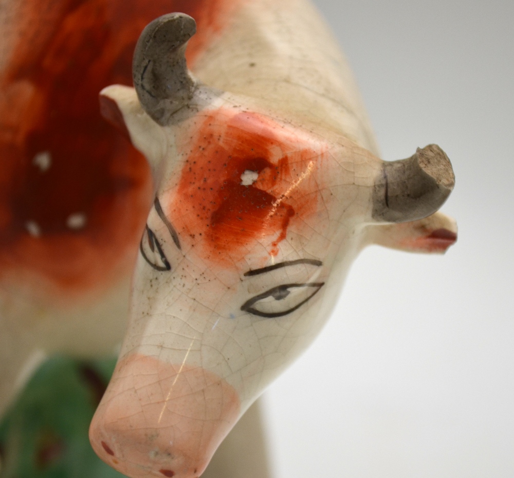 A Victorian Staffordshire model of a cow - Image 6 of 6
