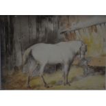 English school - Study of a white horse in a stable, watercolour, indistinctly signed lower right,
