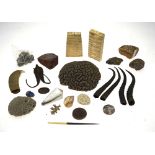 A quantity of minerals, corals, elephant tooth slabs, antelope horns, etc.