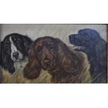 Manner of Wardle - A trio of spaniels, oil on board,