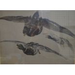 English school - Preparatory study for flying ducks, oil on canvas,
