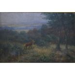 Fritz Schurmann (1863-?) - Stag and deer in forest glen, oil on canvas, signed lower right,