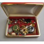 A large collection of vintage jewellery including paste brooches, butterfly wing brooch,