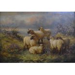 C Bryam? - Sheep in a landscape, oil on board, indistinctly signed lower left,