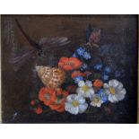 English school - Still life study with flowers, shell and insects, oil on panel,