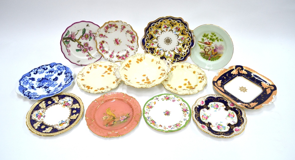 Assorted Brown Westhead Moore and Cauldon decorative plates and dishes including Cauldon cream