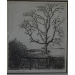 Francis Kelly (1927-2012) - 'Lone tree', etching, ltd ed 5/50,