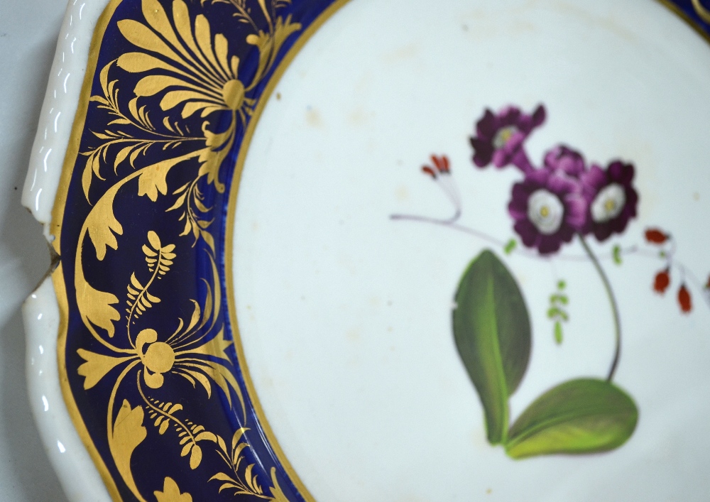 Seventeen 19th century decorative plates - Image 7 of 10
