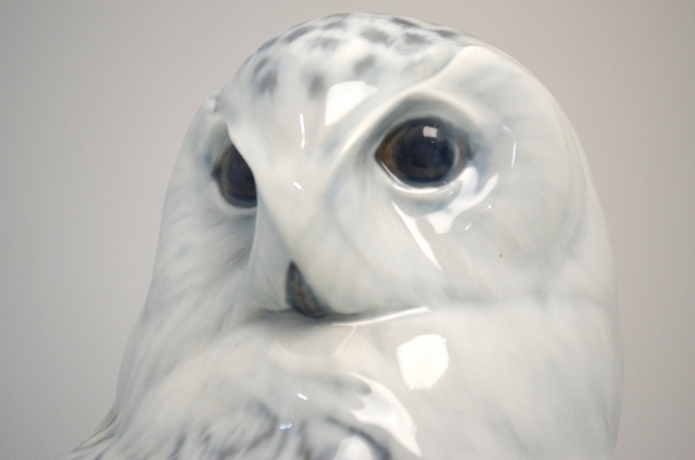 A Royal Copenhagen model of a Snowy owl, - Image 5 of 6