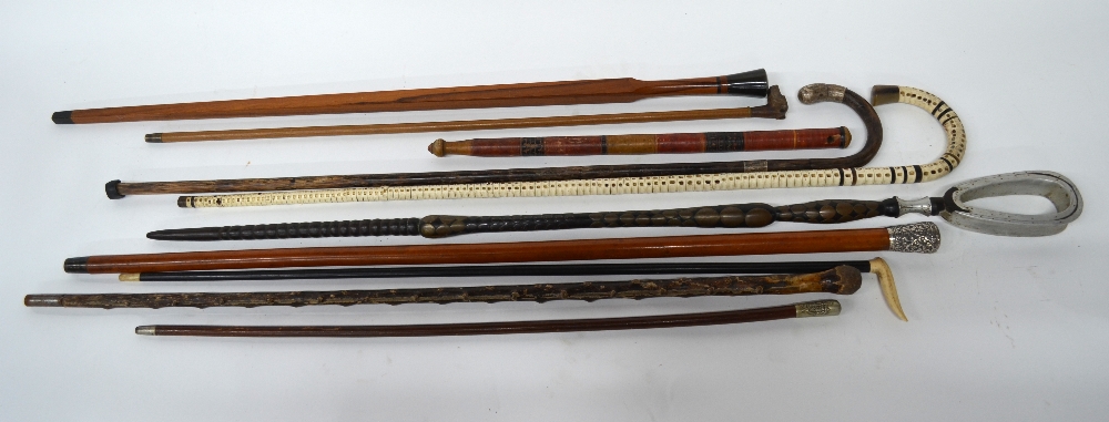 A bundle of walking sticks and canes,