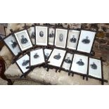 A large collection of twenty-three oak framed bookplates of vicars (box)