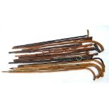 Fifteen various walking sticks and canes including thorns, Shelelagh,