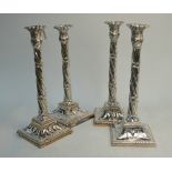 A set of three Old Sheffield plate candlesticks with palmate sconces,