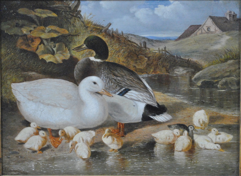 English school - Ducks with their young at pond edge, oil on canvas, 29.
