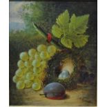 T B Gurnell - A still life study with fruit and birds nest, oil on board, signed lower right,