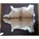 Fur mounted trophy rug - reindeer fawn, by Army & Navy C S Ltd,