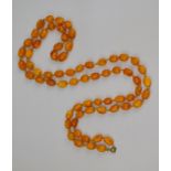 An amber necklace comprising 68 beads and gilt clasp; overall length when hanging about 53 cm,