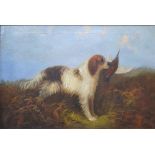 J Langlois - Spaniel with pheasant, oil on canvas, signed lower left,