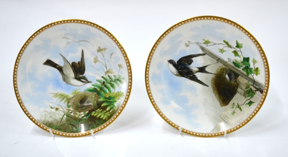 Two Spode or Davenport plates; each one painted with nesting birds, 23 cm diameter,