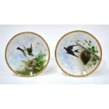 Two Spode or Davenport plates; each one painted with nesting birds, 23 cm diameter,