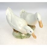 A Royal Copenhagen model of two white ducks on a naturalistic base, no 412,