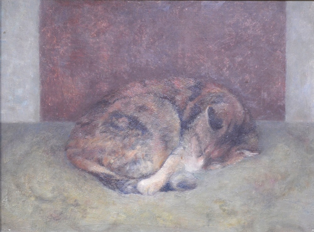 Two cat studies - Irene Sinclair - 'Sleeping tortoiseshell cat', oil on board,