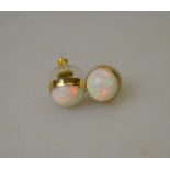 A pair of opal cabochon earrings of good colour and well matched showing multi-coloured flashes,
