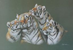 Joel Kirk
Tiger and cubs
A limited edition print No.