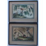 A pair of Chinese watercolour paintings on rice paper decorated with birds and insects, 33.