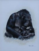 Joel Kirk
A chimpanzee and baby
Watercolour
Signed
21.5 x 16.