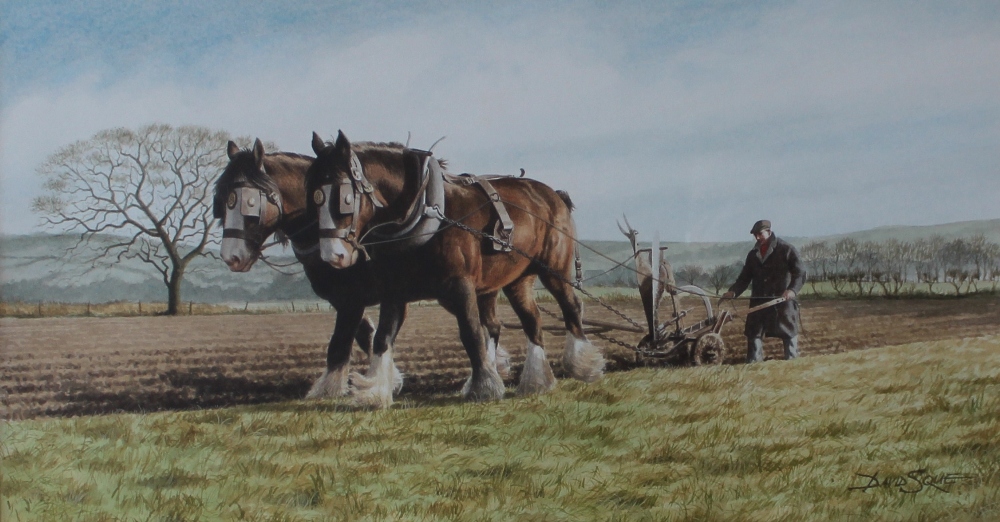 David Sque
Shire horses ploughing
Watercolour
Signed
27 x 52cm