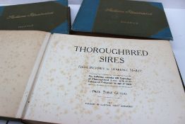 Thoroughbred Sires from pictures by Clarence Hailey,