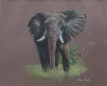 Joel Kirk
Study of a rhinoceros
Pastel
Signed
22 x 27cm
Together with another of an elephant